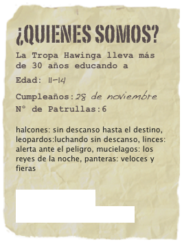 ¿quienes somos?
La Tropa Hawinga lleva más de 30 años educando aEdad: 11-14Cumpleaños:28 de noviembre
Nº de Patrullas:6

halcones: sin descanso hasta el destino, leopardos:luchando sin descanso, linces: alerta ante el peligro, mucielagos: los reyes de la noche, panteras: veloces y fieras

CANCIONERO
ÁLBUMES DE FOTOS
.
.
.

